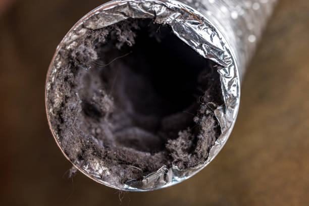 Affordable HVAC Duct Cleaning in KY
